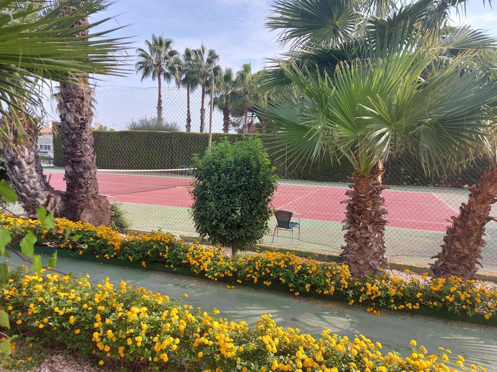 Bebi Casa Apartment Torrevieja Extérieur photo